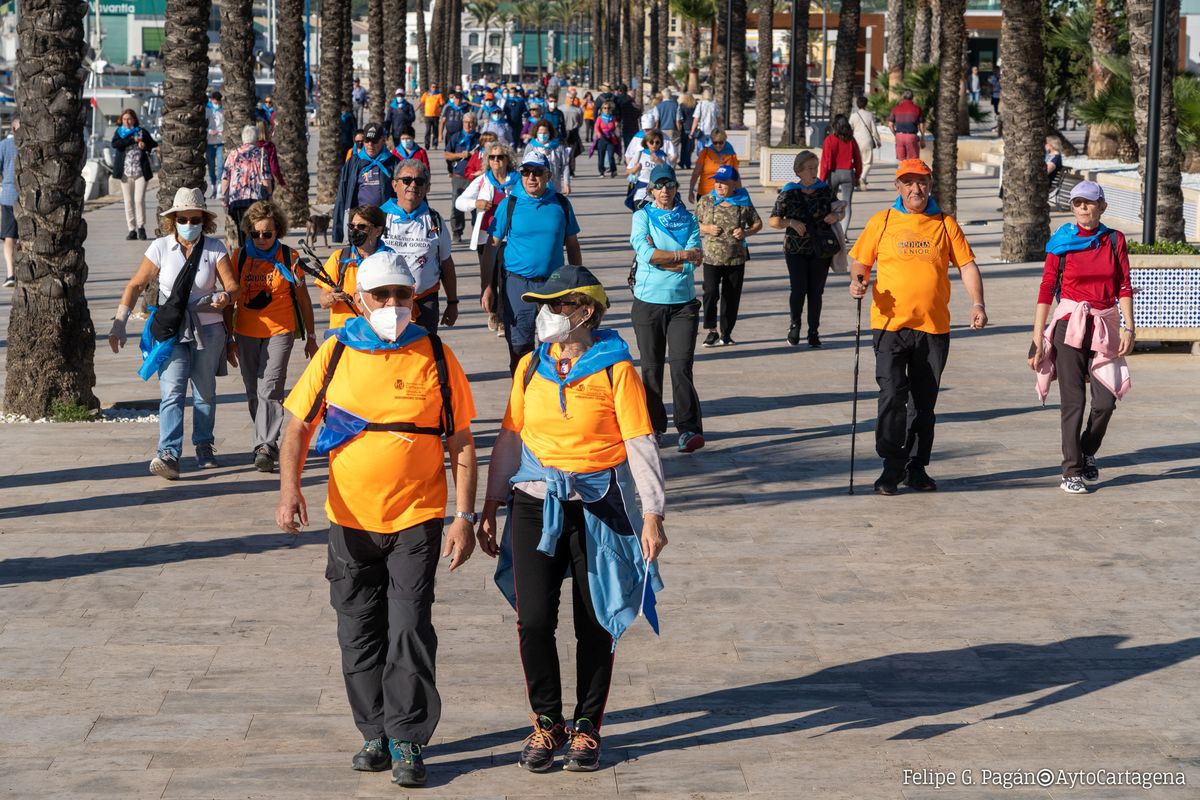 Walk Spain SODICAR 2021 (1)